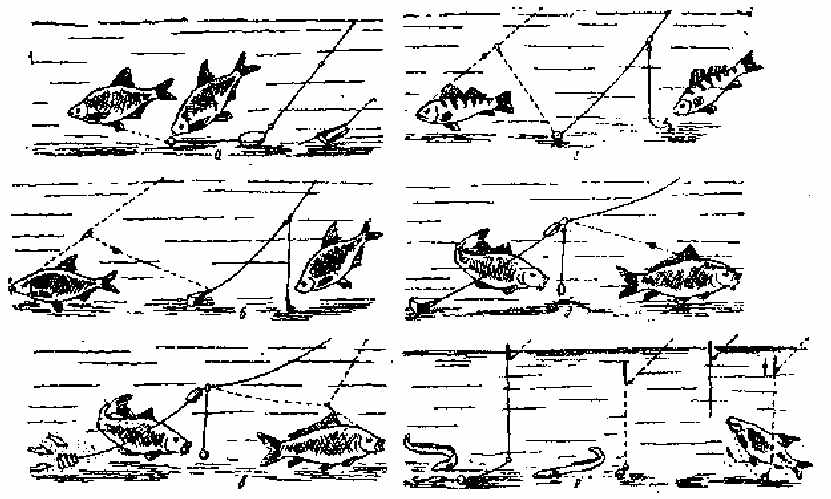 Рис. 37. Немецкая оснастка донок (варианты):