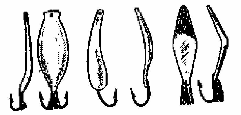   (),  ( ),  ().